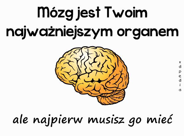 Mózg jest Twoim najważniejszym organem, ale najpierw musisz