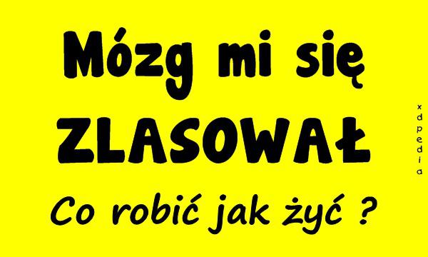 Mózg mi się ZLASOWAŁ! Co robić jak żyć