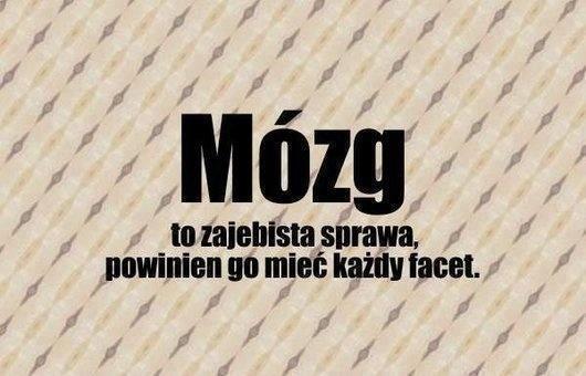 Mózg to zajebista sprawa, powinien go mieć każdy facet