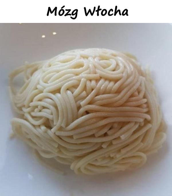 Mózg Włocha