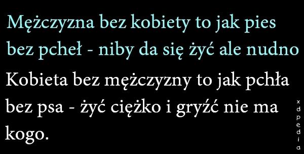 Mężczyzna bez kobiety, to jak pies bez pcheł, niby da się