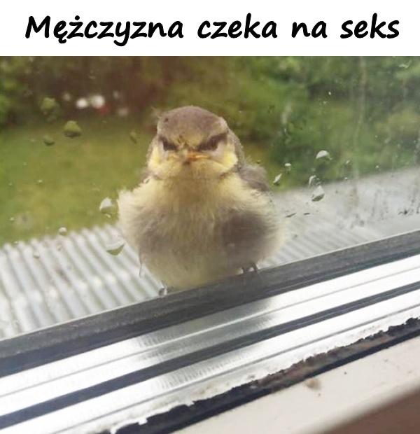 Mężczyzna czeka na seks