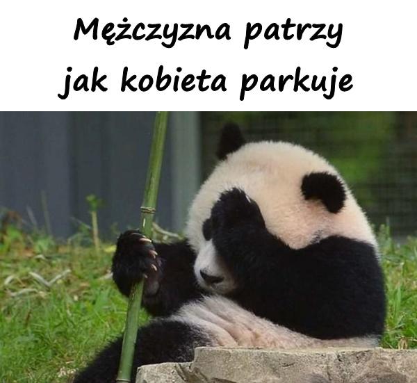 Mężczyzna patrzy jak kobieta parkuje