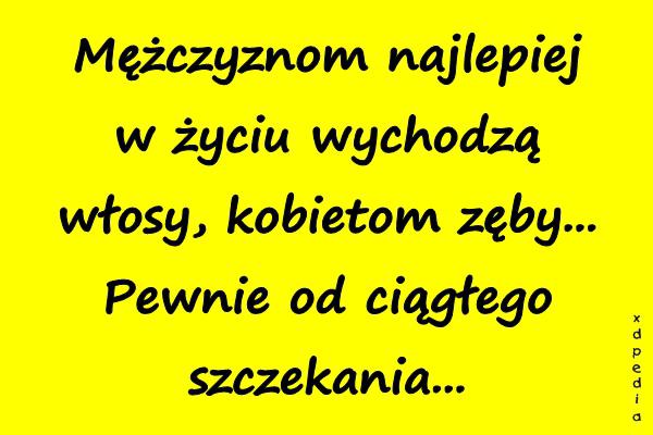 Mężczyznom najlepiej w życiu wychodzą włosy, kobietom