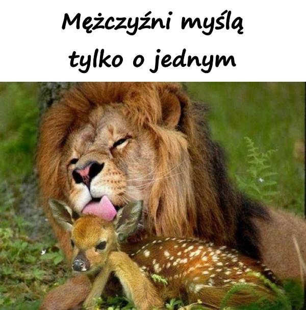 Mężczyźni myślą tylko o jednym