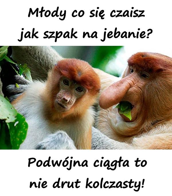 Młody co się czaisz jak szpak na jebanie? Podwójna ciągła