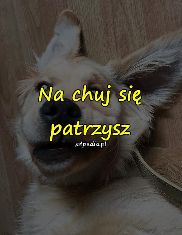 Na chuj się patrzysz