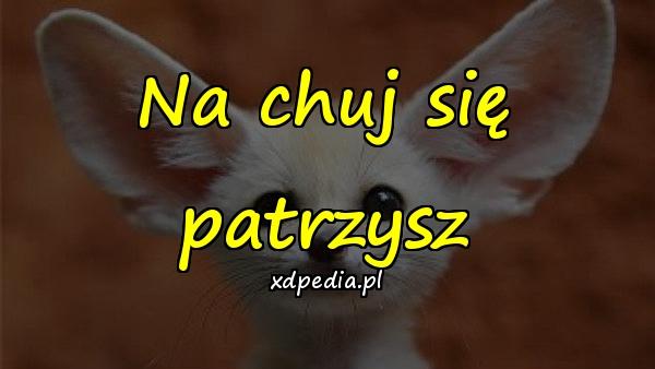 Na chuj się patrzysz