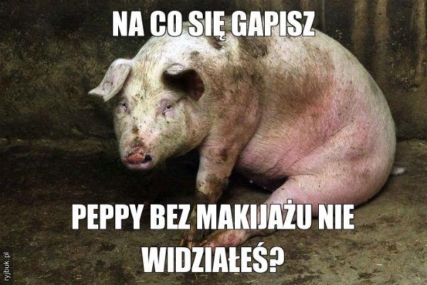 Na co się kur.. gapisz\npeppy bez makijaż nie widziałeś