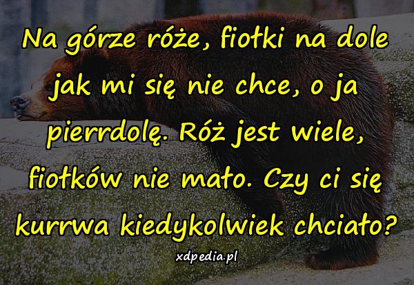 Na górze róże, fiołki na dole jak mi się nie chce, o ja