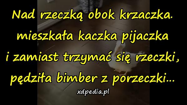 Nad rzeczką obok krzaczka. mieszkała kaczka pijaczka i