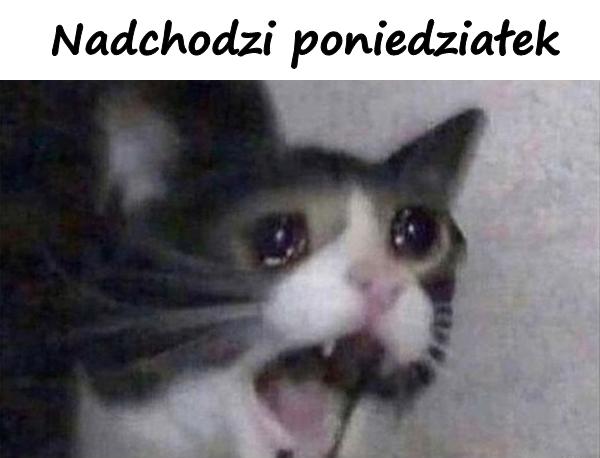 Nadchodzi poniedziałek