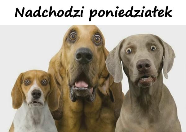 Nadchodzi poniedziałek