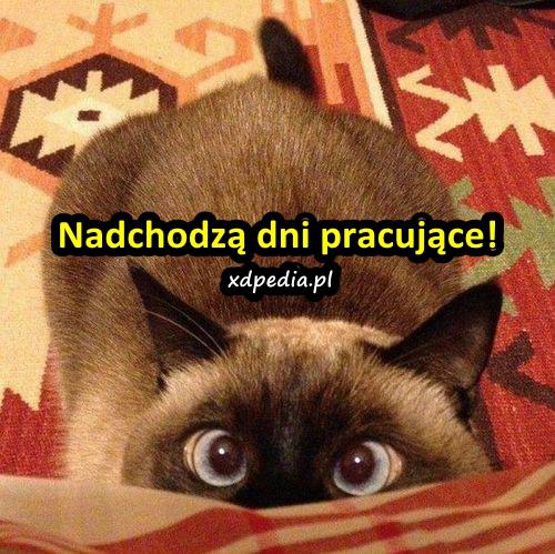 Nadchodzą dni pracujące