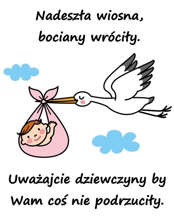 Nadeszła wiosna, bociany wróciły. Uważajcie dziewczyny by