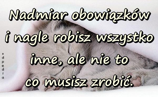 Nadmiar obowiązków i nagle robisz wszystko inne, ale nie to