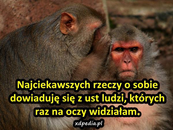 Najciekawszych rzeczy o sobie dowiaduję się z ust ludzi