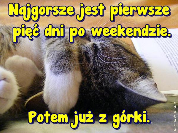 Najgorsze jest pierwsze pięć dni po weekendzie. Potem już z