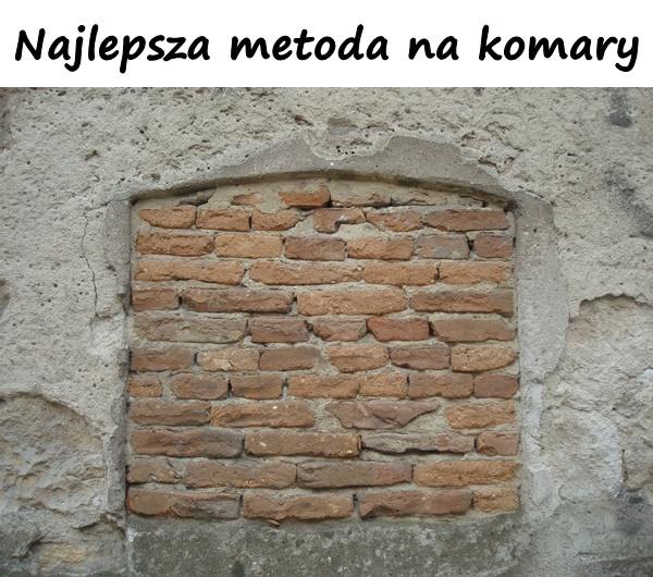 Najlepsza metoda na komary