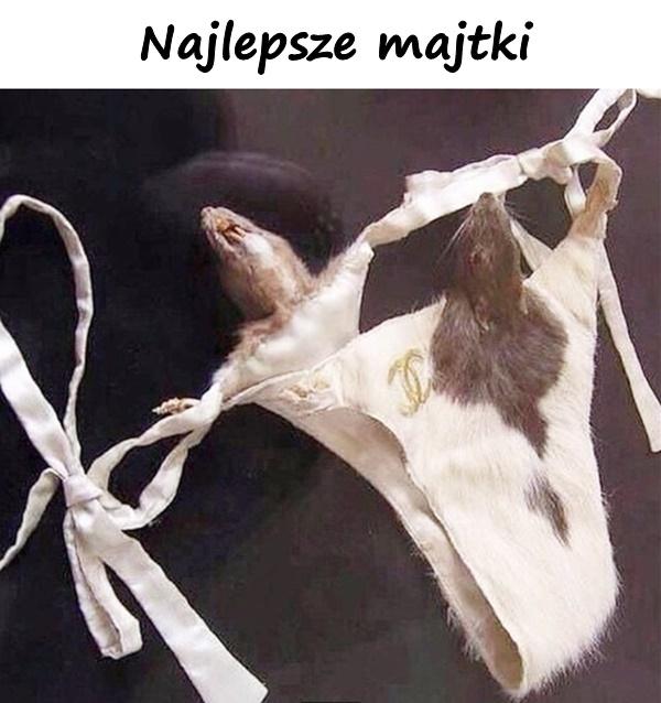 Najlepsze majtki