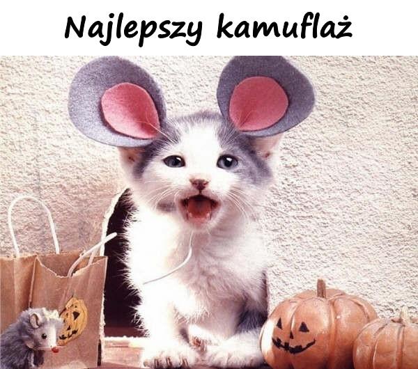 Najlepszy kamuflaż