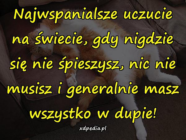 Najwspanialsze uczucie na świecie, gdy nigdzie się nie