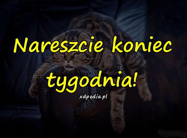 Nareszcie koniec tygodnia