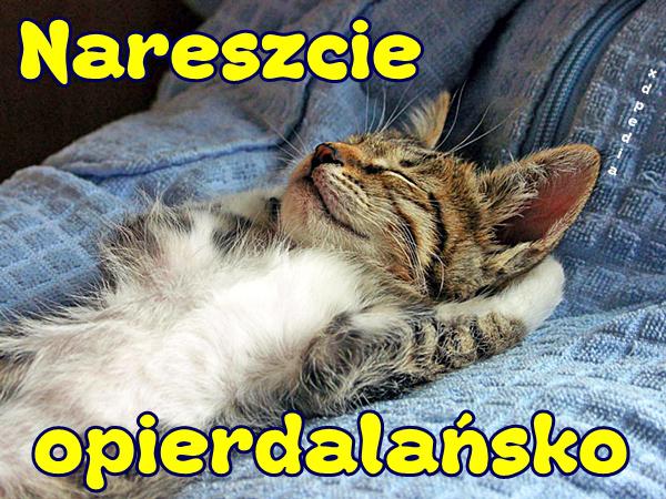 Nareszcie opierdalańsko