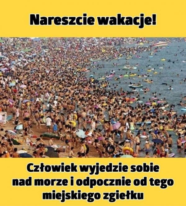 Nareszcie wakacje! Człowiek wyjedzie sobie nad morze i