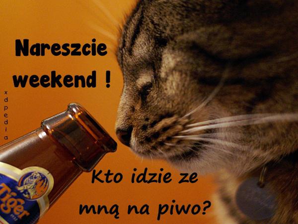 Nareszcie weekend! Kto idzie ze mną na piwo