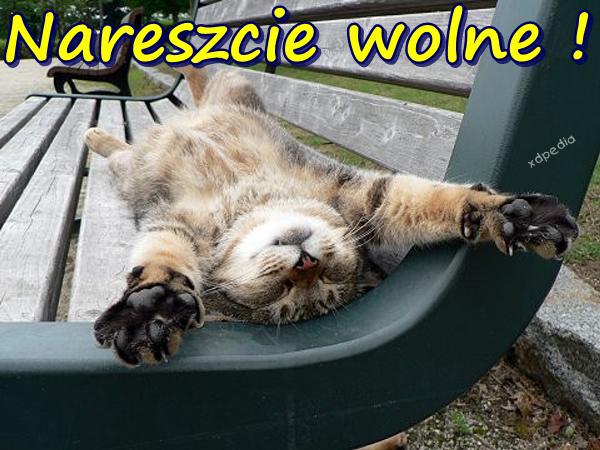 Nareszcie wolne