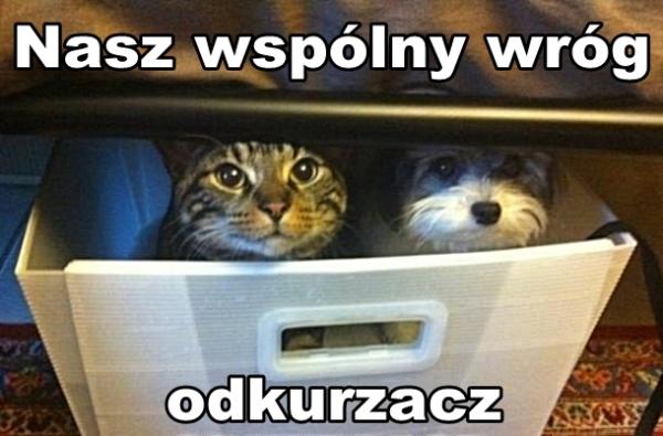 Nasz wspólny wróg