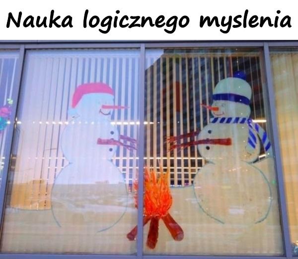 Nauka logicznego myslenia