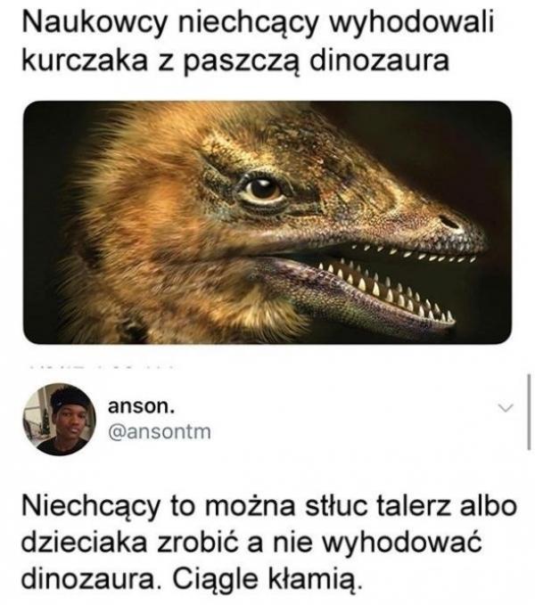 Naukowcy niechcący wyhodowali kurczaka z paszczą dinozaura