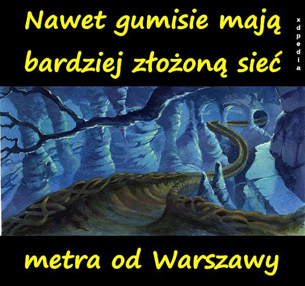 Nawet gumisie mają bardziej złożoną sieć metra od Warszawy