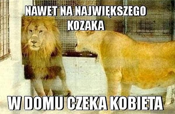 Nawet na największego kozaka w domu czeka kobieta