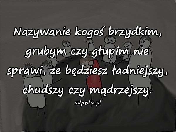 Nazywanie kogoś brzydkim, grubym czy głupim nie sprawi, że