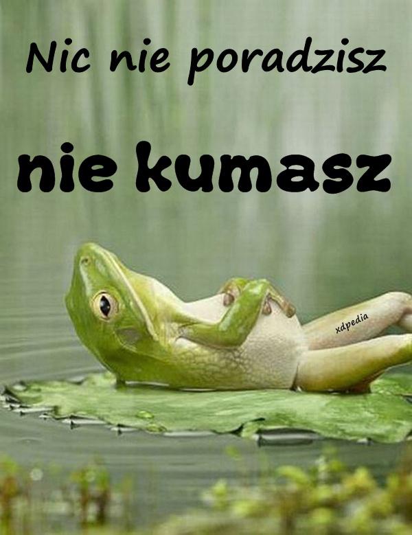 Nic nie poradzisz - nie kumasz