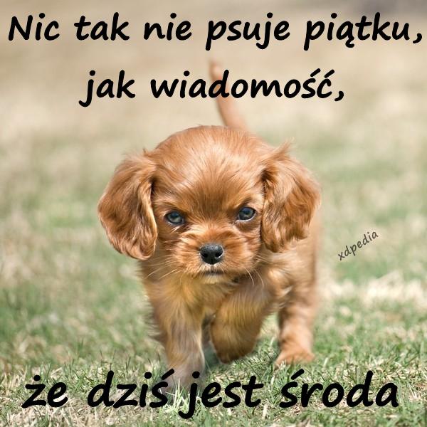 Nic tak nie psuje piątku, jak wiadomość, że dziś jest środa