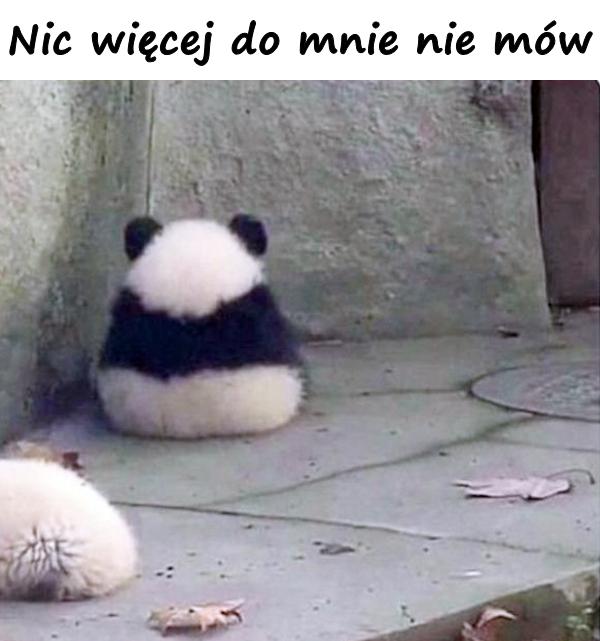 Nic więcej do mnie nie mów