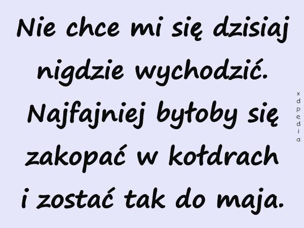 Nie chce mi się dzisiaj nigdzie wychodzić. Najfajniej