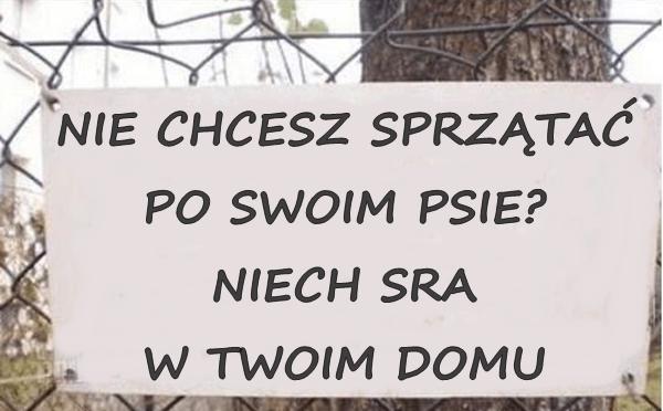 Nie chcesz sprzątać po swoim psie, niech sra w twoim domu