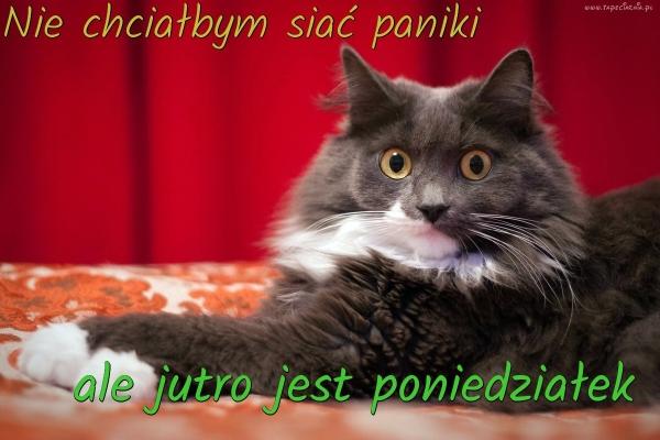 Nie chciałbym sieć paniki ale jutro jest poniedziałek