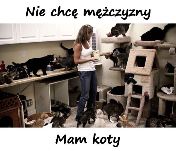 Nie chcę mężczyzny. Mam koty