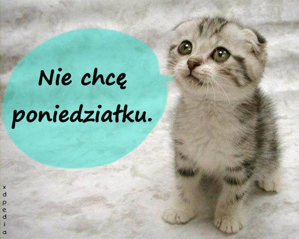 Nie chcę poniedziałku