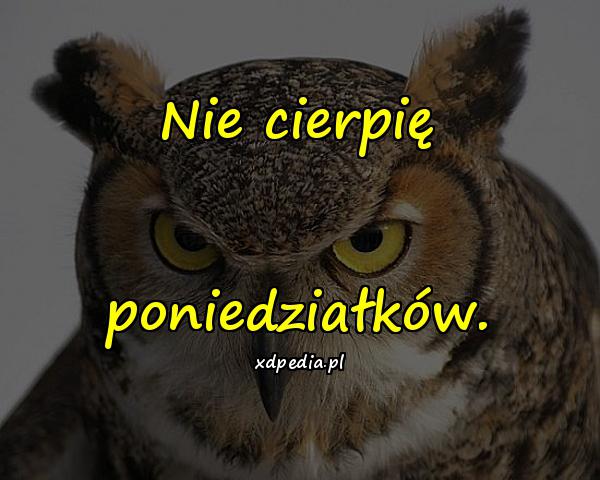 Nie cierpię poniedziałków