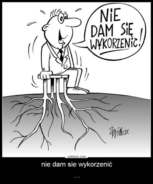 Nie dam się wykorzenić