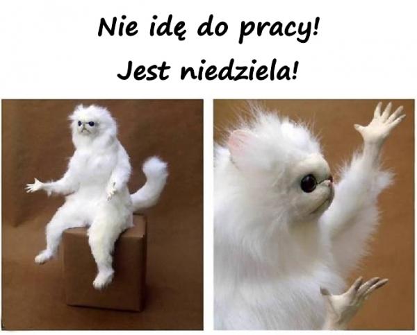 Nie idę do pracy! Jest niedziela