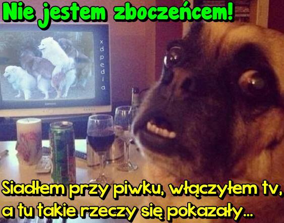 Nie jestem zboczeńcem! Siadłem przy piwku, włączyłem tv, a