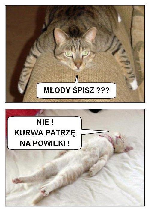 Nie! Kurwa patrzę na powieki